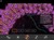 Images (1)_tiny